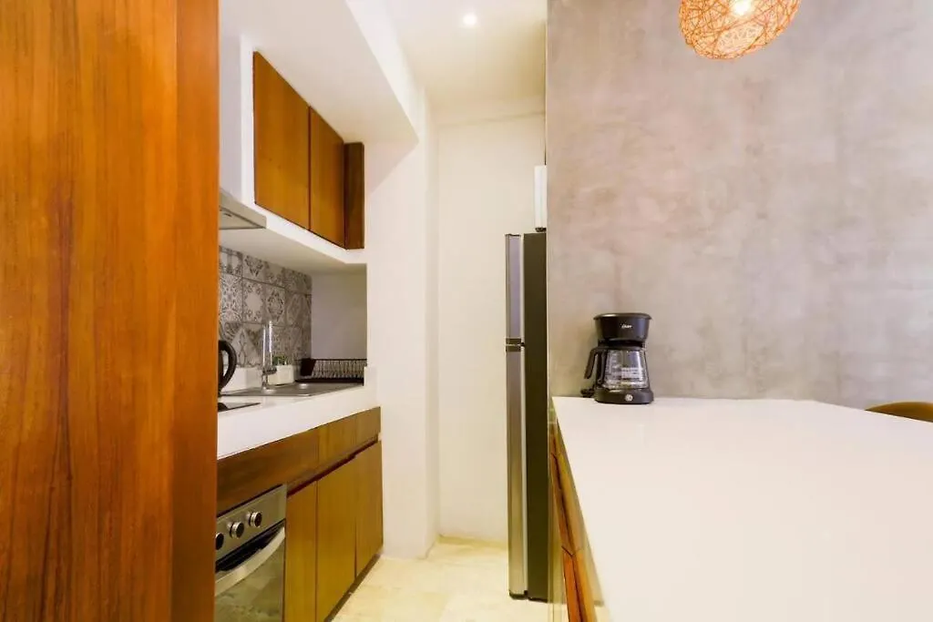 Lujoso Departamento Con Alberca Privada Pb2 Διαμέρισμα Τουλούμ